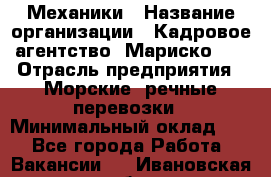 Механики › Название организации ­ Кадровое агентство "Мариско-2" › Отрасль предприятия ­ Морские, речные перевозки › Минимальный оклад ­ 1 - Все города Работа » Вакансии   . Ивановская обл.